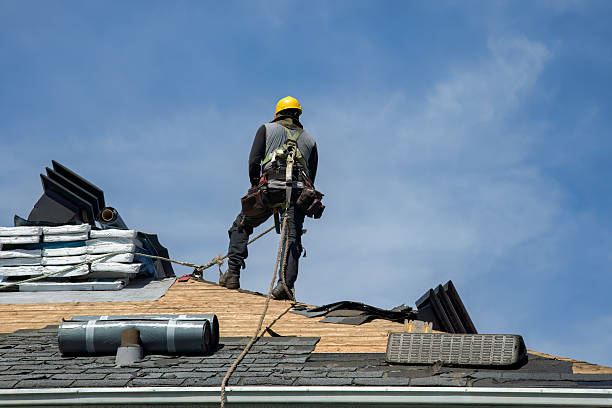 Professional Metal Roofing technician working in Mcville, ND